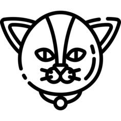 猫