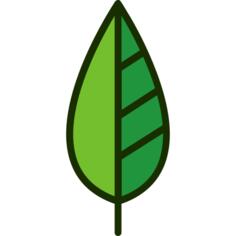 Leaf