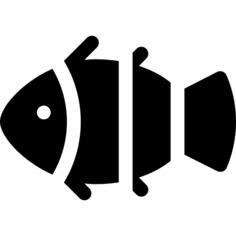 Clown fish