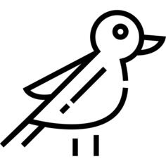 鸟