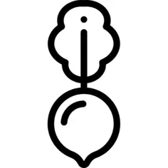 Radish