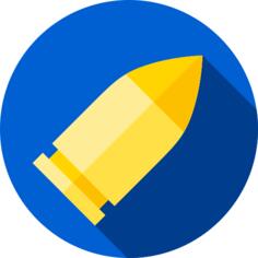 Bullet