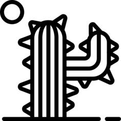 Cactus