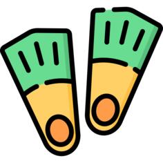 Flippers