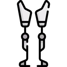Prothesis