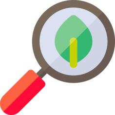 Search