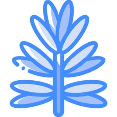 Rosemary