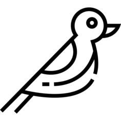 鸟