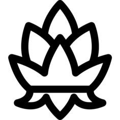 Lotus flower