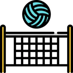 Volleyball