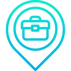 Pin