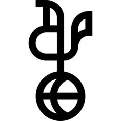 托特纳姆热刺