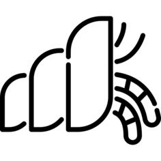 Crab