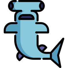 Hammerhead fish