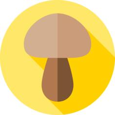 蘑菇