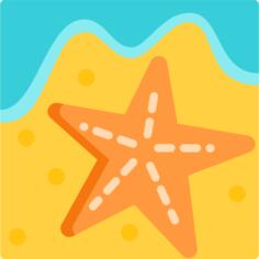 海星