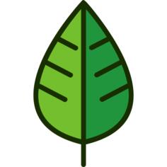 Leaf