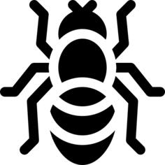 Ant