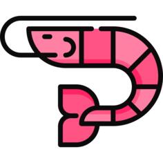 虾
