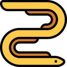 Eel