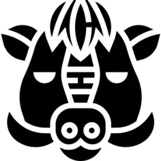 Boar