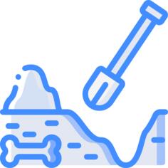 您