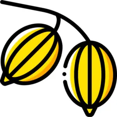 Gooseberry