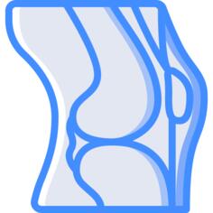 Knee