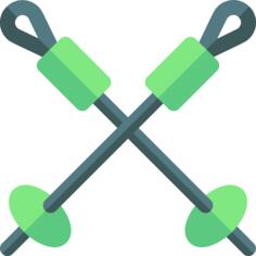 Ski poles