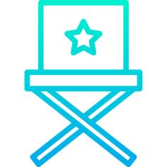 Director chair