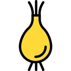 Onion