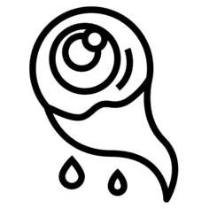 Eye