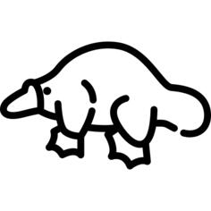 鸭嘴兽