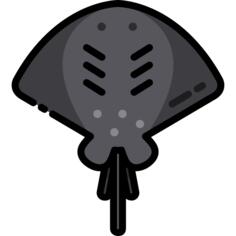 蝠ray