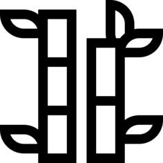 Bamboo