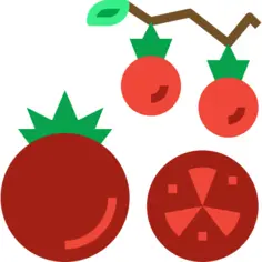 Tomato