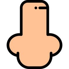Nose