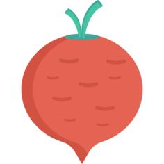 Turnip