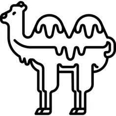 Camel