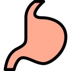 胃