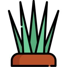 草