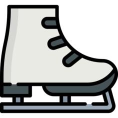 Ice skate