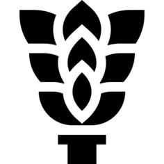 桦木拂尘