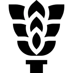 桦木拂尘