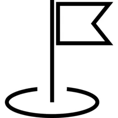 Pin