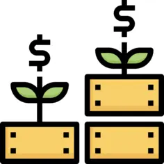 Growth