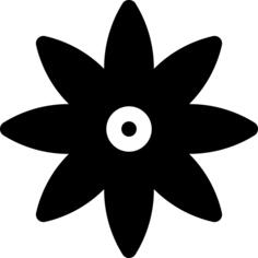 Anise