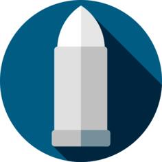 Bullet