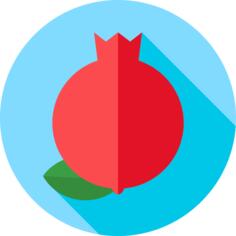 Pomegranate