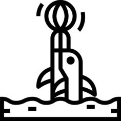 海豚